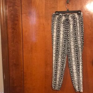 Express Pants